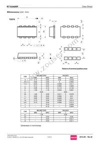 RT1E040RPTR Datasheet Page 11