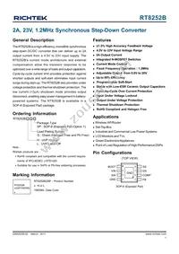 RT8252BLGSP Datasheet Cover