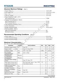 RT8282BLGSP Datasheet Page 4