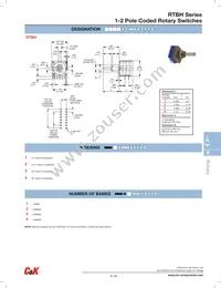 RTBH41BS10ANNZP Datasheet Page 2