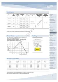 RUW3216FR100CS Datasheet Page 15
