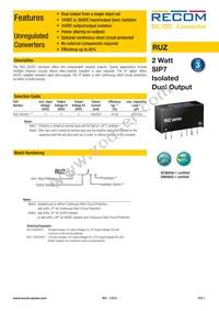 RUZ-050505/HP Datasheet Cover