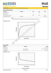 RUZ-050505/HP Datasheet Page 2