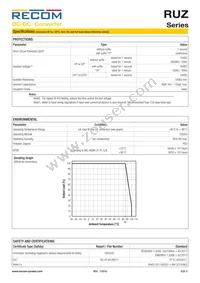 RUZ-050505/HP Datasheet Page 3