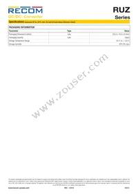 RUZ-050505/HP Datasheet Page 5