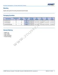 S01PM5805K016A Datasheet Page 5