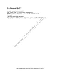 S25FL132K0XNFA010 Datasheet Page 2