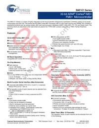 S6E1C12B0AGN20000 Datasheet Page 2