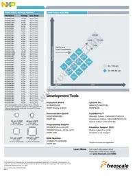 S9S08DN16F2CLF Datasheet Page 4