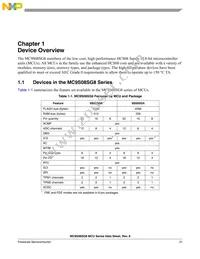 S9S08SG4E2MSC Datasheet Page 21