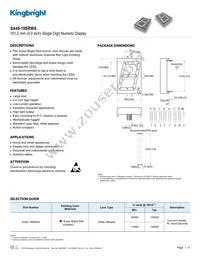 SA40-19SRWA Datasheet Cover