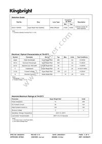 SA43-11SRWA Datasheet Page 2