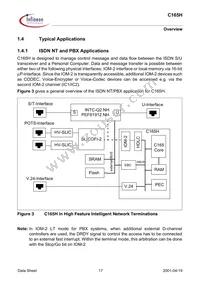 SAFC165HLFV13XT Datasheet Page 17