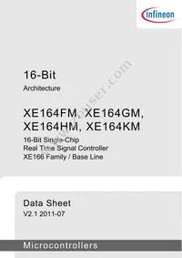 SAK-XE164KM-72F80L AA Datasheet Page 3