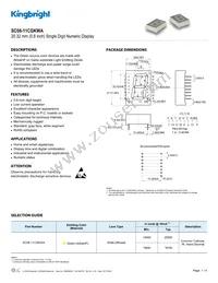 SC08-11CGKWA Datasheet Cover