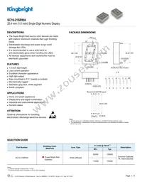 SC10-21SRWA Datasheet Cover