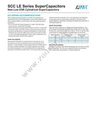 SCCY1AB857SLBLE Datasheet Page 5