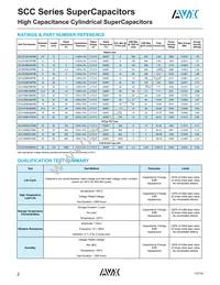 SCCY62B307SSB Datasheet Page 2