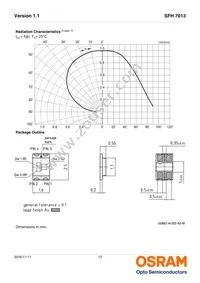 SFH 7013 Datasheet Page 12