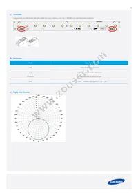 SI-B8R021070WW Datasheet Page 9