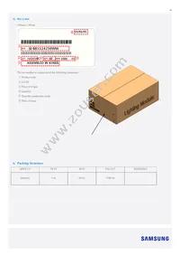 SI-B8V114250WW Datasheet Page 10