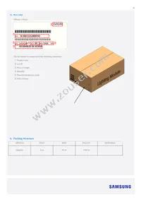 SI-B8V115280WW Datasheet Page 10