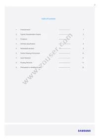 SI-OU1424001WW Datasheet Page 2