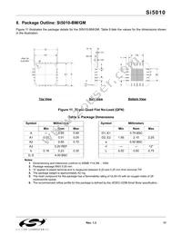 SI5010-BM Datasheet Page 17