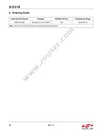 SI5316-B-GM Datasheet Page 20