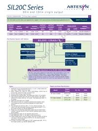 SIL20C-12SADJ-V Datasheet Page 2