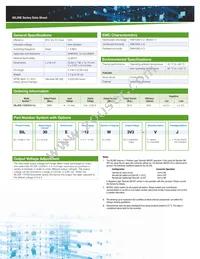 SIL30E-12W3V3-VJ Datasheet Page 2