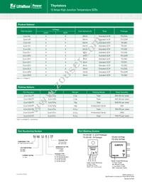 SJ6012V1TP Datasheet Page 9