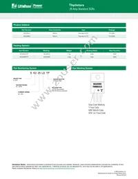 SK225RDTP Datasheet Page 6