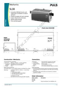 SL30.100 Datasheet Page 3