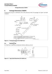 SLB9665XT20FW560XUMA2 Datasheet Page 17