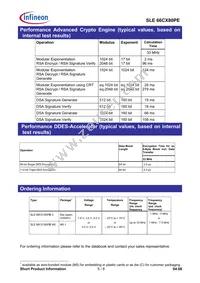 SLE 66CX80PE DSO8 Datasheet Page 5