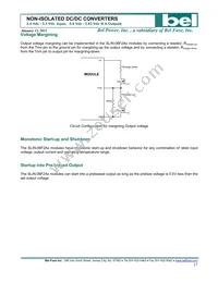 SLIN-06F2A0G Datasheet Page 17