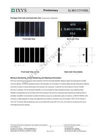 SLMD121H06L Datasheet Page 3