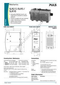 SLR2.100 Datasheet Page 3