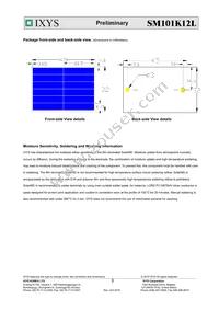 SM101K12L Datasheet Page 3