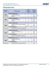 SMC5.7223J100J33TR12 Datasheet Page 2