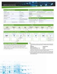 SMT10E-12W3V3J Datasheet Page 2