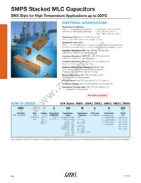 SMX55C105KAN240 Datasheet Page 2