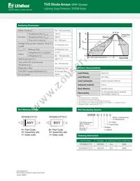 SP4208-01FTG-C Datasheet Page 4