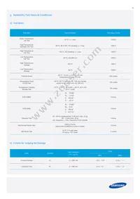 SPHCW1HDNA25YHR31F Datasheet Page 19