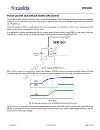 SPM1004-5V0C Datasheet Page 17