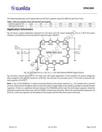 SPM1004-5V0C Datasheet Page 19