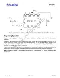 SPM1004-5V0C Datasheet Page 20