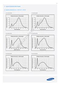 SPMWH1228FD5WAQMS4 Datasheet Page 19