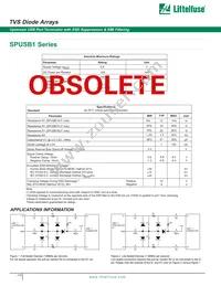 SPUSB1AJT Datasheet Page 2